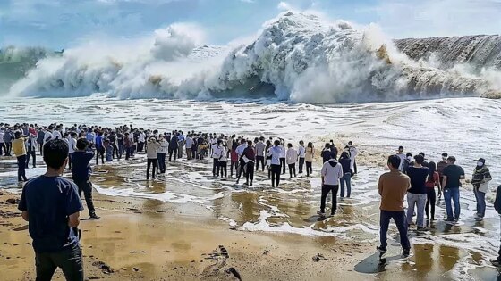 Incredible Moments Caught On Camera #08 Best Of The Month